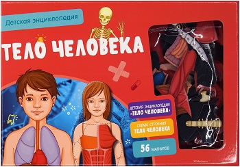 

Тело человека. Детская энциклопедия (в коробке) - Коллектив авторов