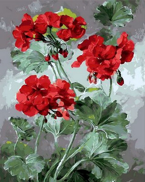 

Картина по номерам Mariposa Роскошная герань 40*50 см (в коробке) арт.MR-Q1050