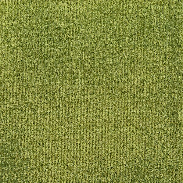 

Ковровая плитка Milliken Trancing Landscapes Map Reading MRG141 Green Meadows