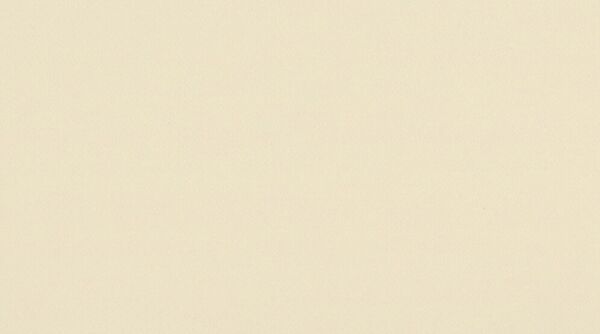 

Линолеум Gerflor Taralay Impression Uni 0848 White