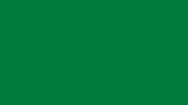 

Спортивное модульное покрытие Gerflor Sport Court PowerGame+ 0014 Green