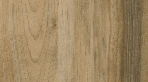 

Линолеум Gerflor Taralay Impression Wood 0727 Sycamore Vanilla