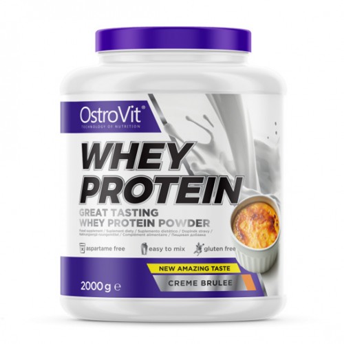 

Протеин OstroVit Whey Protein, 2 кг Крем брюле (720722)