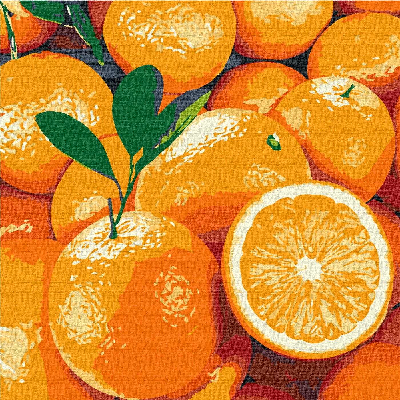 Картина по номерам «Сочный апельсин» 25*25см(KHO5649) – фото, отзывы .