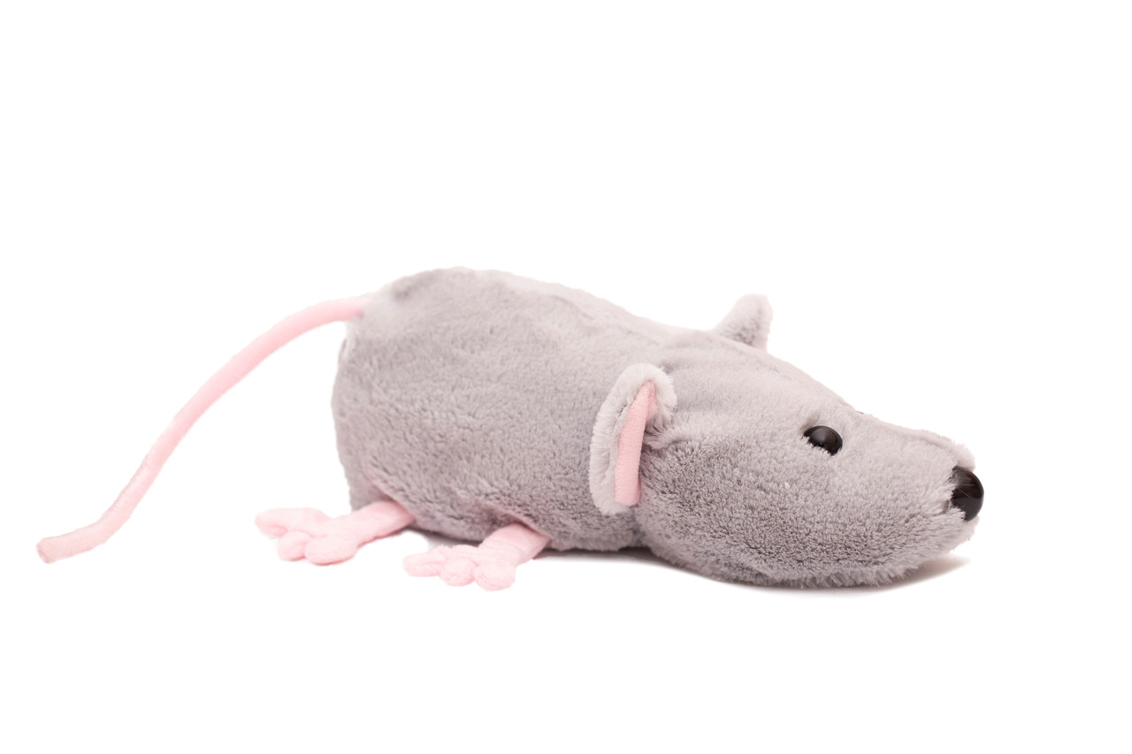 С чем любят играть крысы? 8 идей для игрушек, которые понравятся крысам