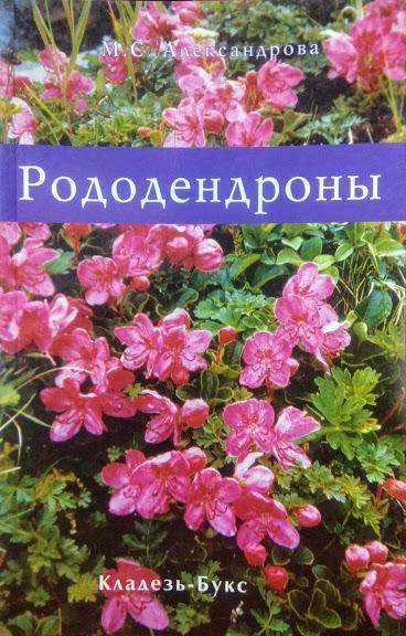 

Рододендроны. Ботанический сад. Александрова М.
