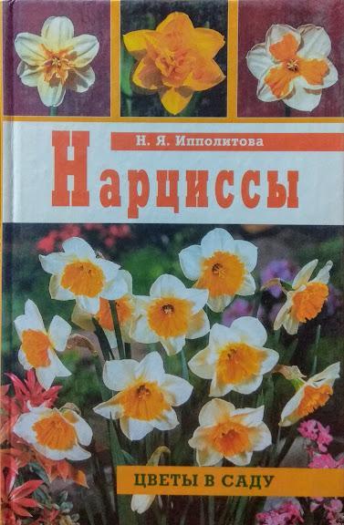 

Нарциссы. Ипполитова Н.