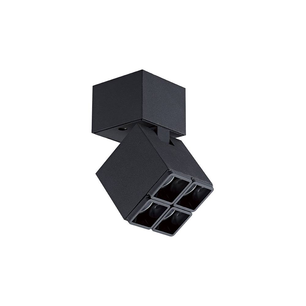

Спот Skarlat RSLC78026 4×2W (BK 4000K 24)