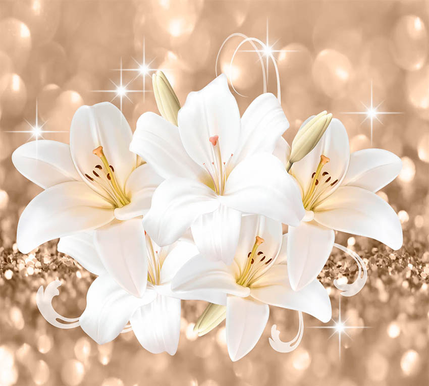 

Фотообои WS Wallpaper Орхидеи 294*270 (31278) Сатин