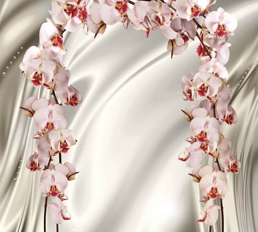 

Фотообои WS Wallpaper Орхидеи 294*270 (31269) Песок