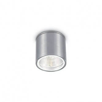 

Потолочный уличный светильник Ideal Lux GUN 092324