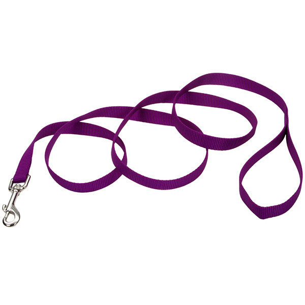 

Поводок Coastal Nylon Training для собак, нейлон хакки, 2,5см x 1,8м