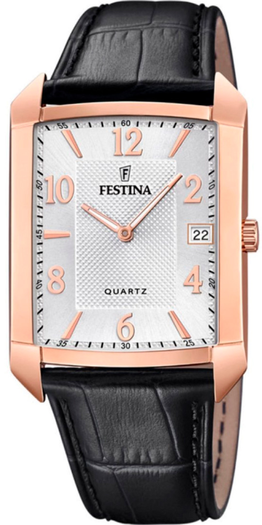 

Мужские часы FESTINA F20465/1