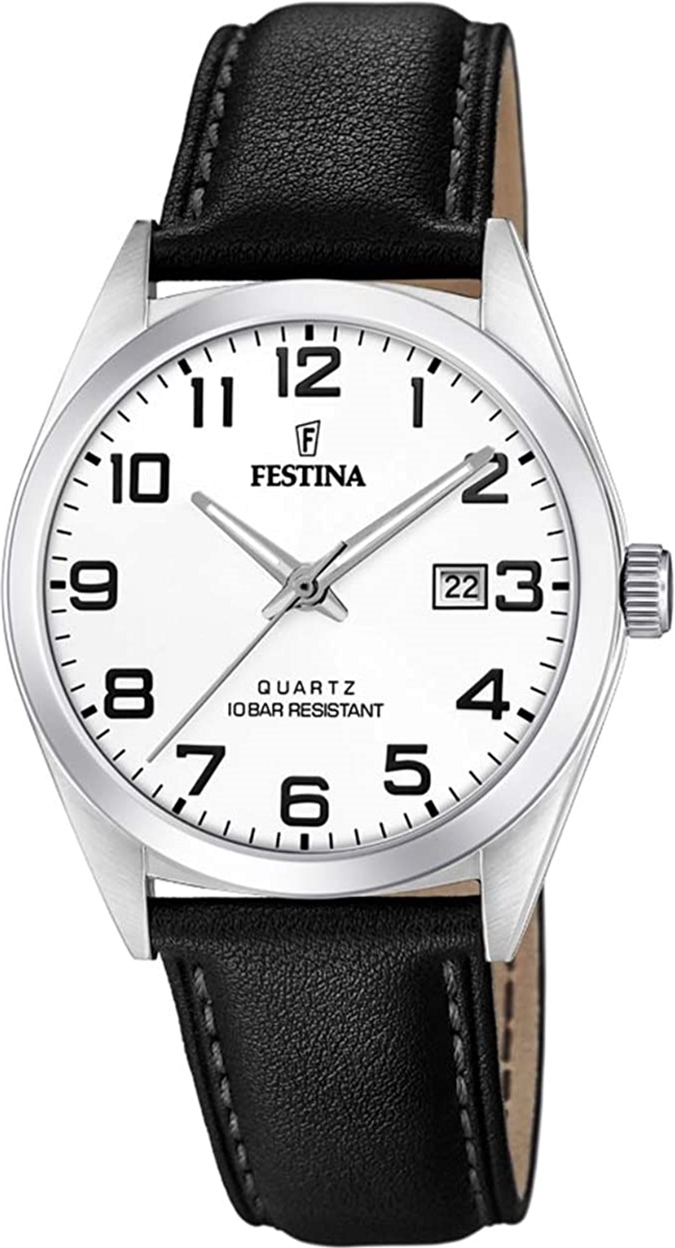 

Мужские часы FESTINA F20446/1