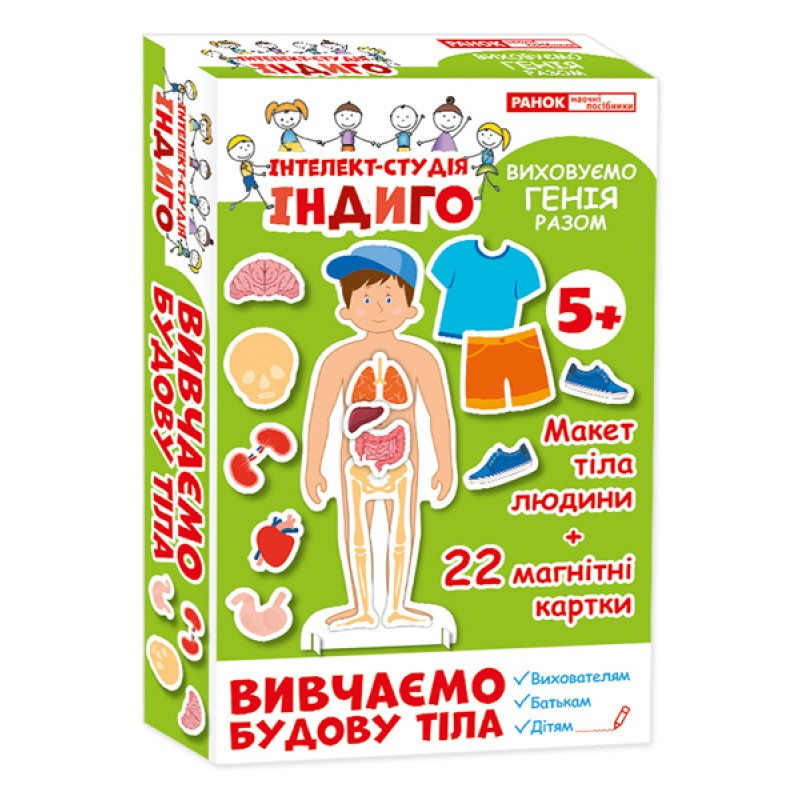 

Индиго. Изучаем строение тела (У) 13109081 Ranok Creative