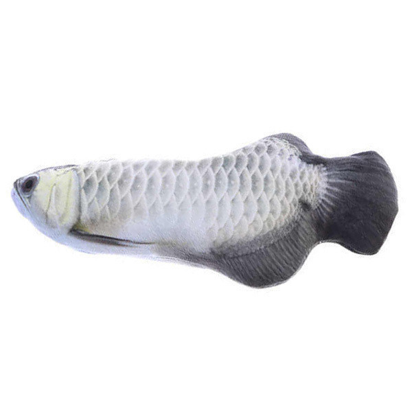 

Игрушка антистресс для кошек РЫБА АРОВАНА, 120 см