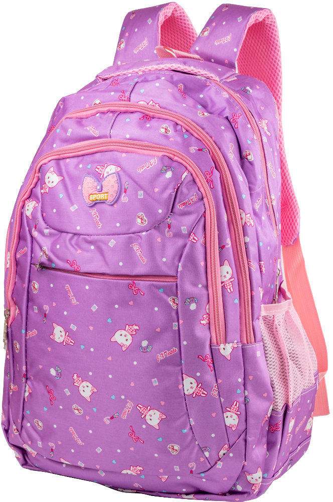 

Детский рюкзак Valiria Fashion DETAT6919-1 фиолетовый