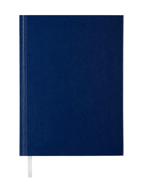 Щоденник датований Brisk 3В-55 Infolk синій А5 176арк – фото, отзывы ...
