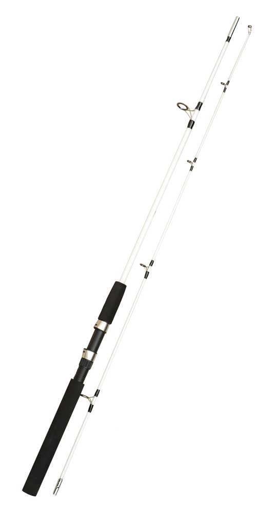 

Спиннинг Crocodile 100-250г 270