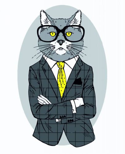 

Картина по номерам Nosup Fashion Cat 45х35