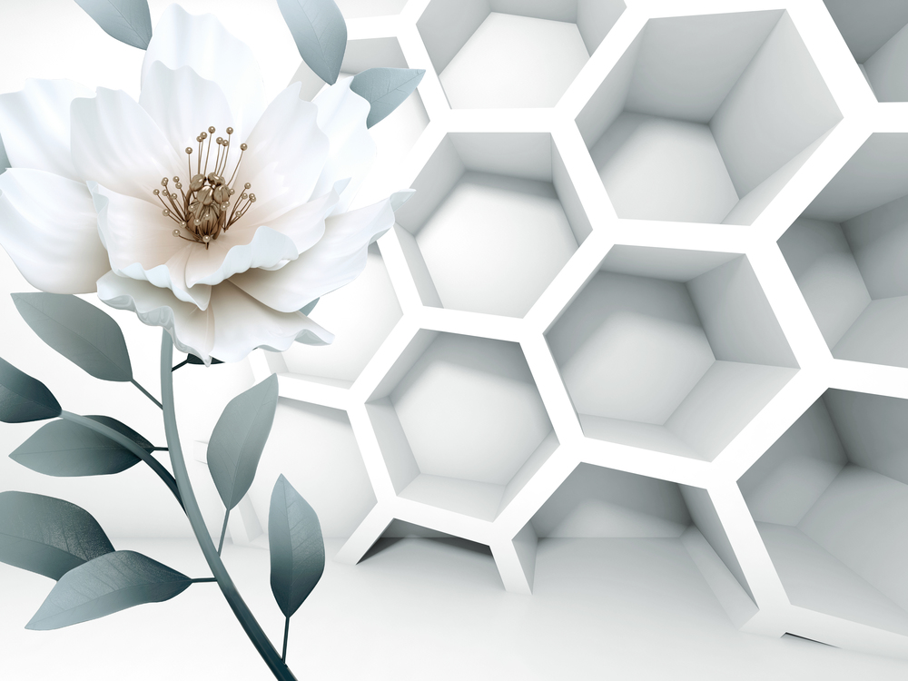

Фотообои 3D '3d цветок' (6204) , Кожа