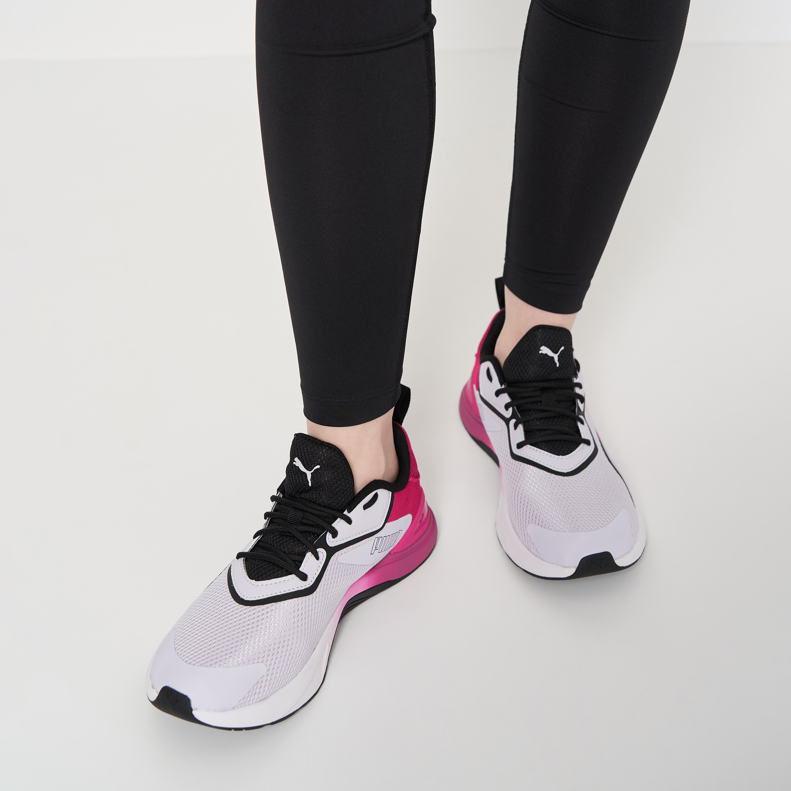 Puma lucide clearance