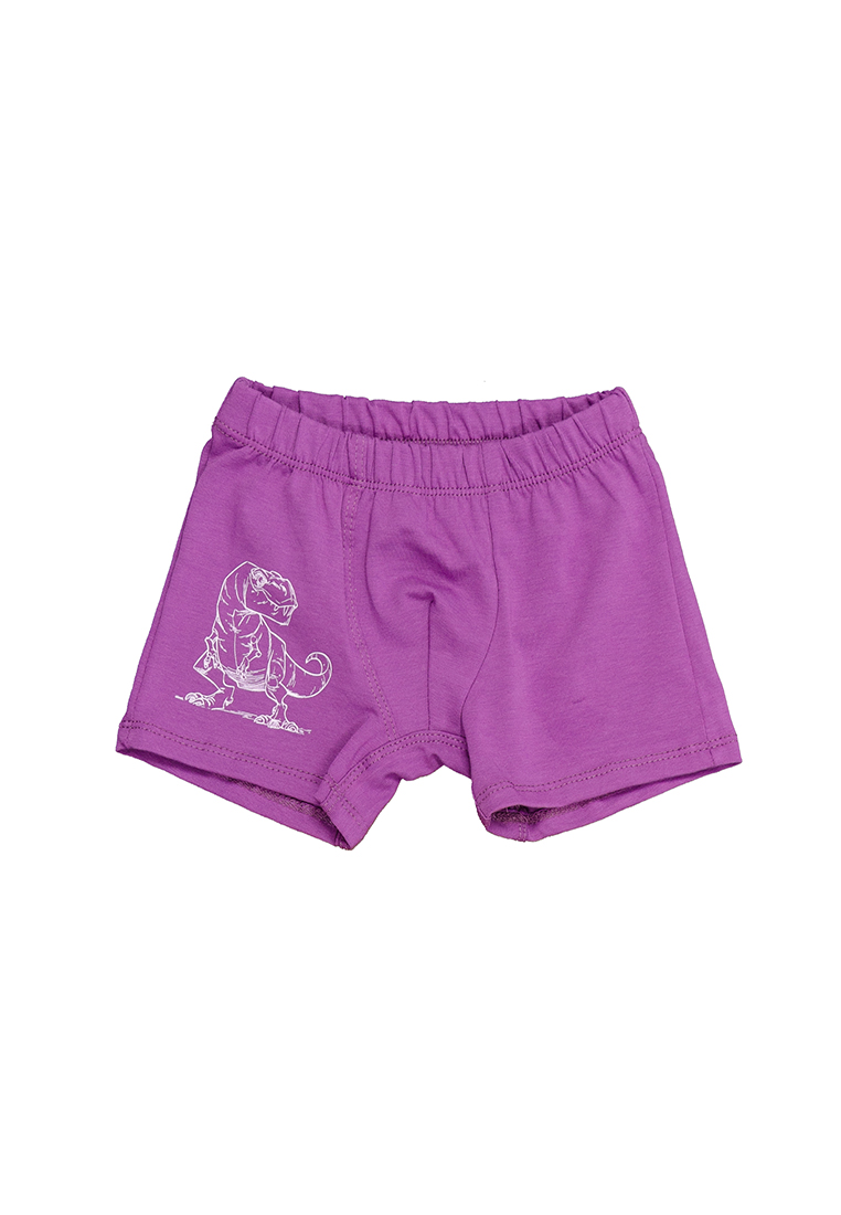 

Трусы N.EL. 1197-15 р128 122см фиолетовый 55439