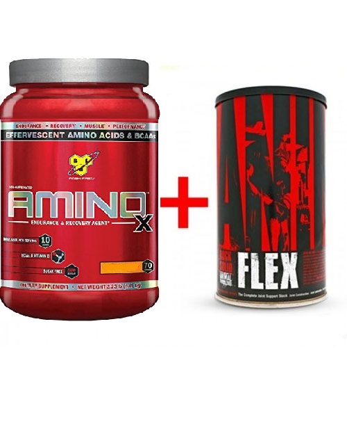 

Комплект Аминокислота BSN Amino X 1.01 кг Клубника-Апельсин + Хондропротектор ANIMAL FLEX 44 пак (236696)