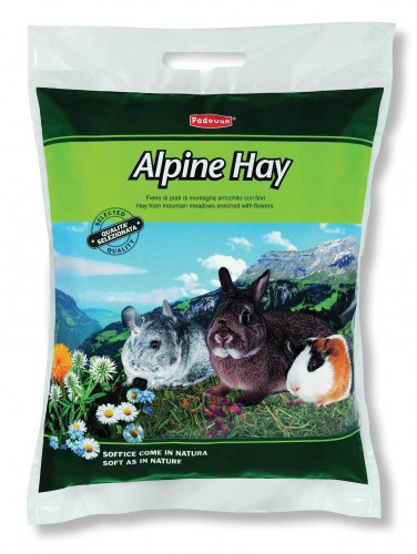 

Корм для кроликов, морских свинок, шиншилл и других грызунов Padovan Alpine-Hay (8001254004051) Padovan