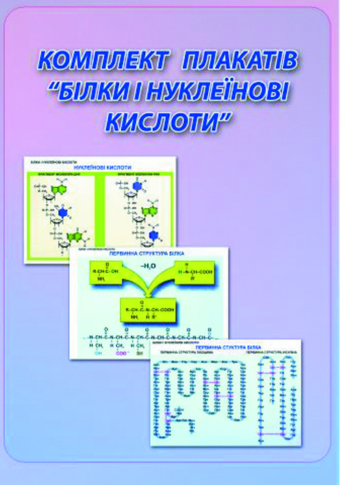

Комплект плакатів "Білки і нуклеїнові кислоти" Навчальне Обладнання