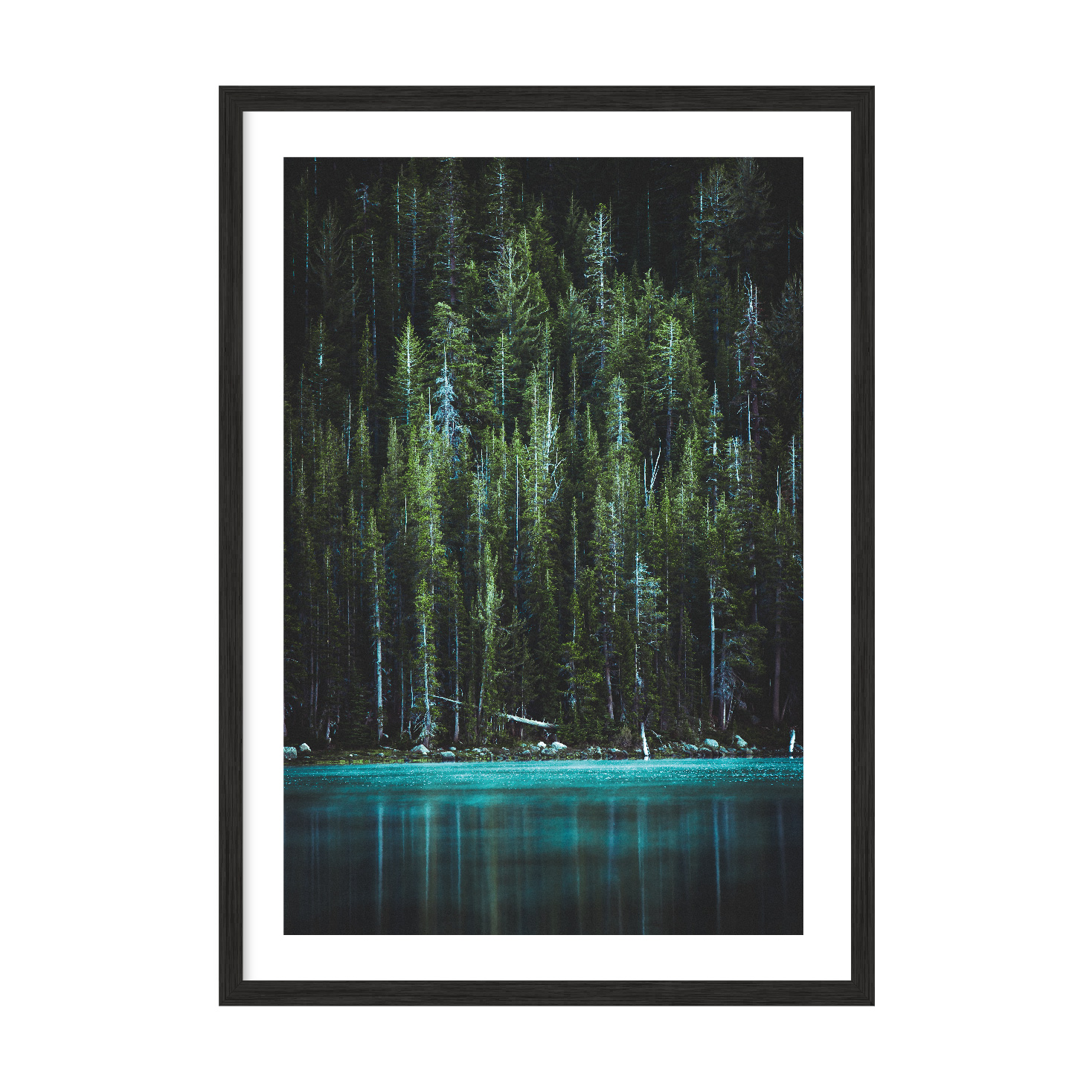 

Постер "Forest" с антибликовым стеклом 596x840 мм в чёрной рамке