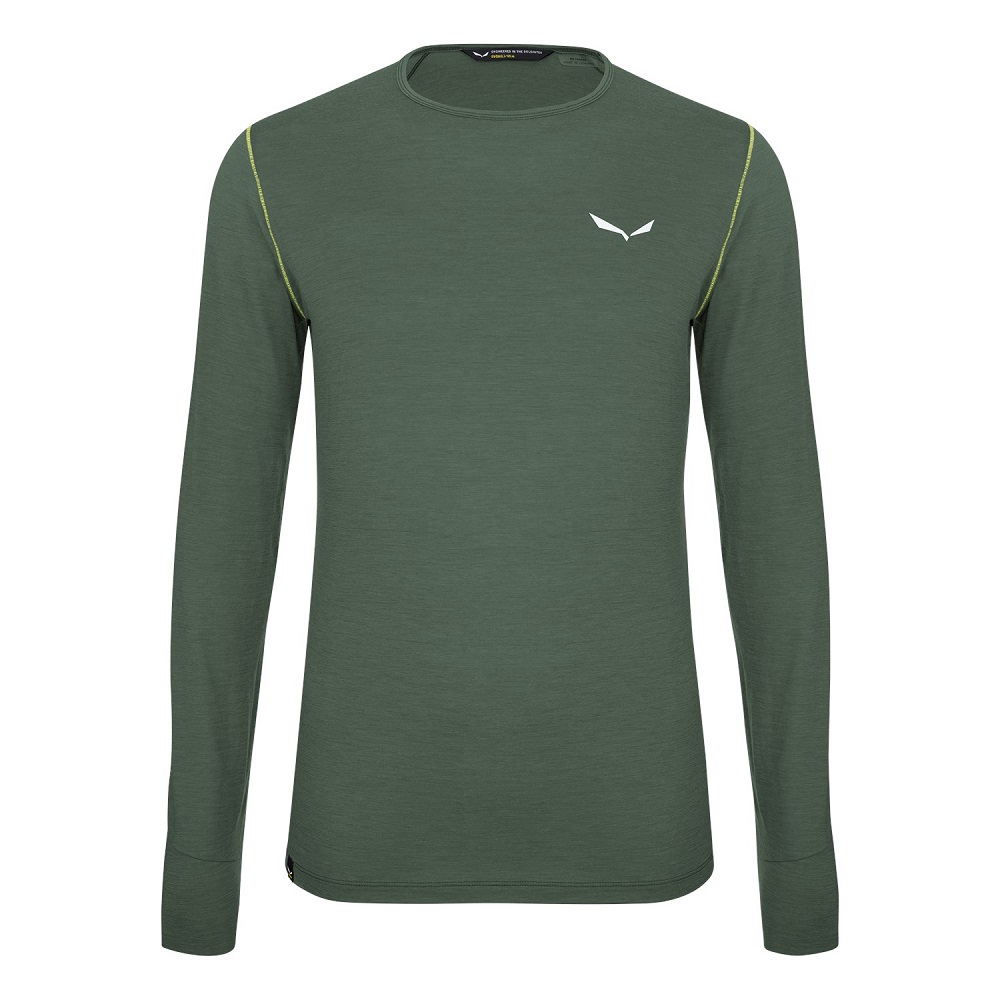 

Футболка Salewa Pedroc Alpine Wool Tee L/S Mns S Темно-Зеленый