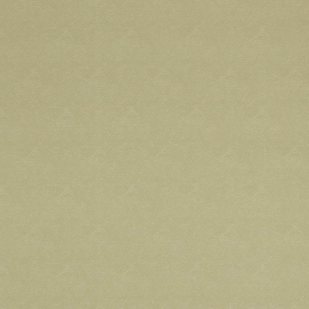 

Обои BN International Indian Summer 218573 вуаль салатовая 0,53 х 10,05 м