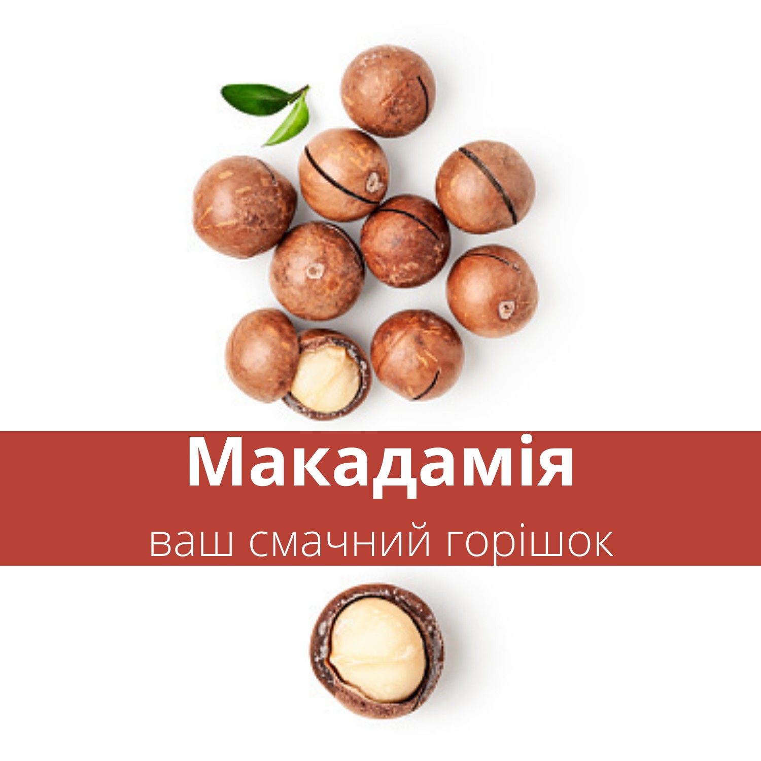 Макадамия - ROZETKA - Цены на орешки макадамия в Украине