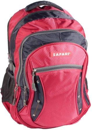 

Ранец-рюкзак, SAFARI 3 отделения., 45*30*17 см, 840D PL ,сер.-роз.,9524
