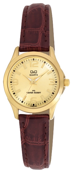 

Женские наручные часы Q&Q C193J103Y