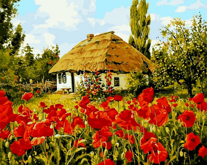 

Картина по номерам Babylon Premium Домик в маках 40*50 см (в коробке) арт.NB355R