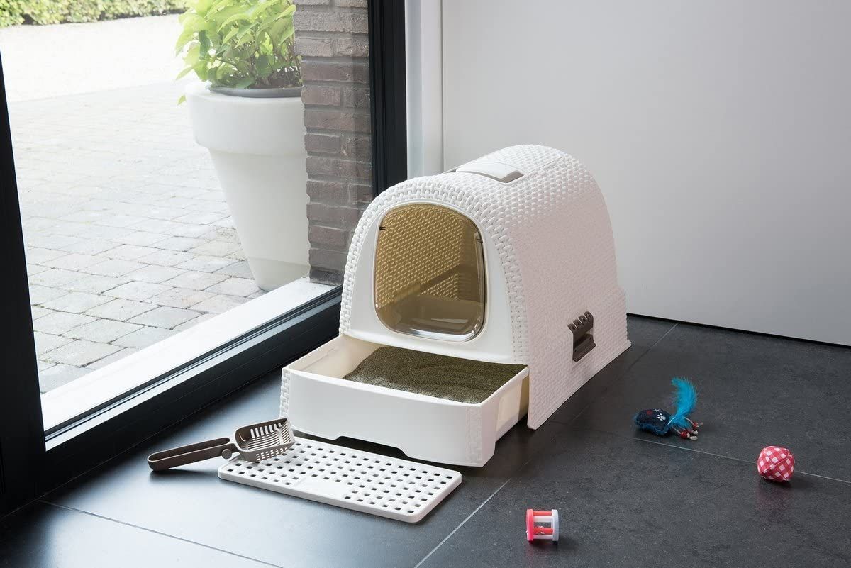 Curver cat shop litter box