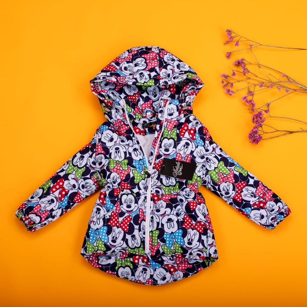 

Детская демисезонная парка Butikk-pnp разноцветный, мини маус 104-110