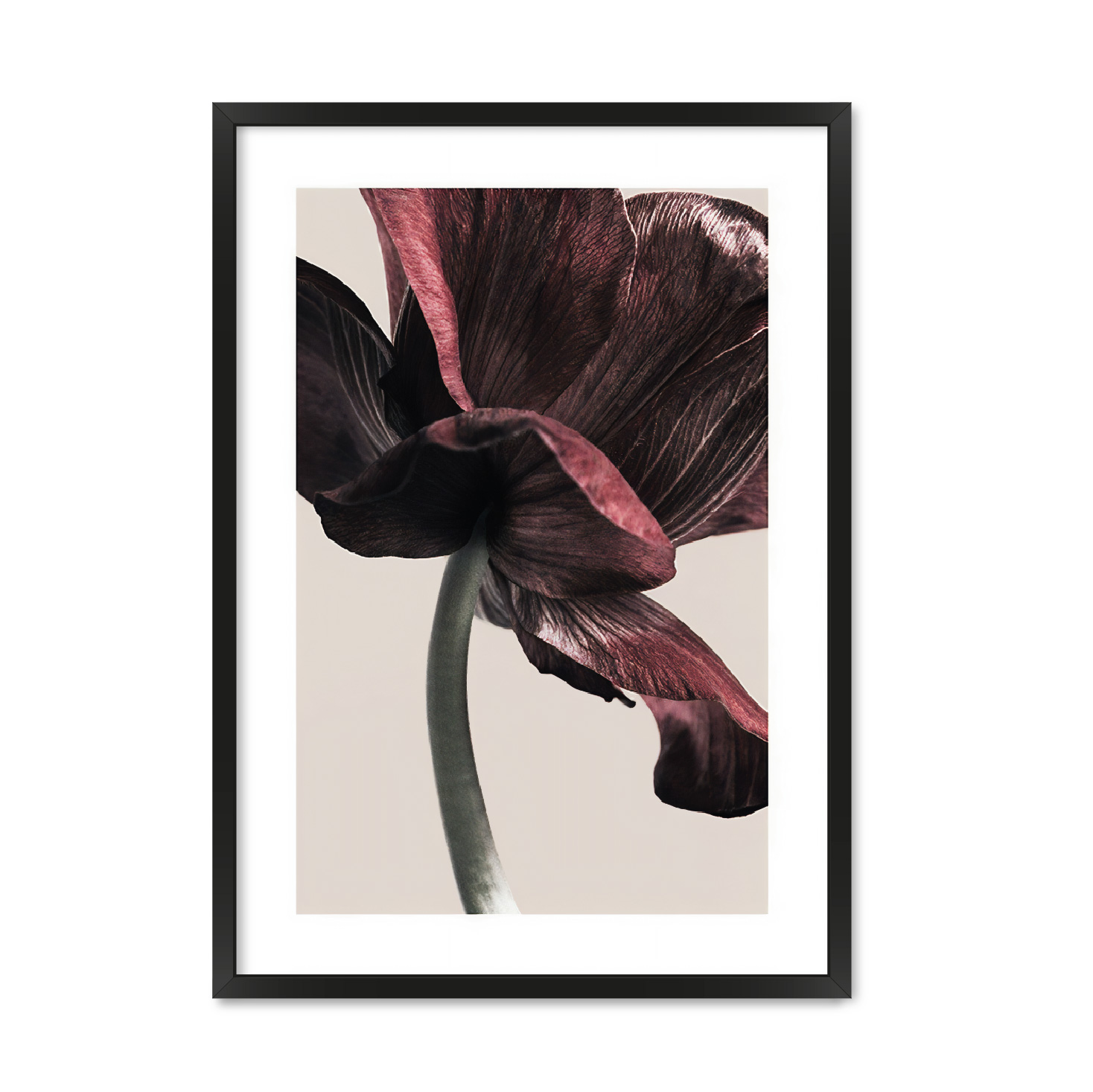 

Постер "EARTH FLOWER #" без стекла 596x840 мм в чёрной рамке