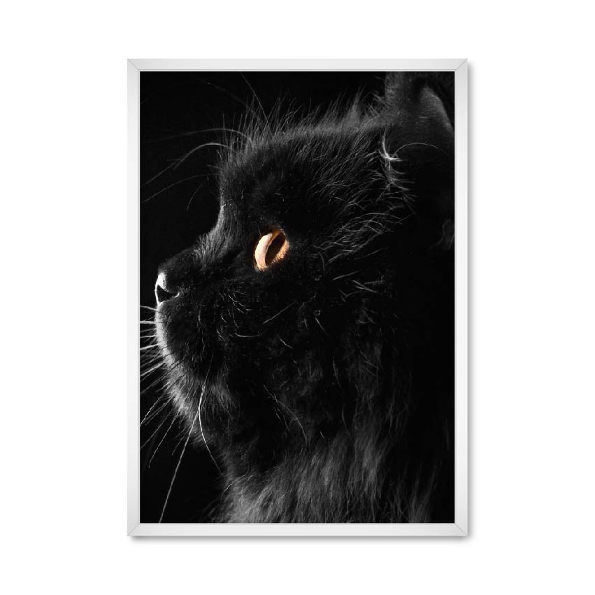 

Постер "Black cat" без стекла 596x840 мм в белой рамке