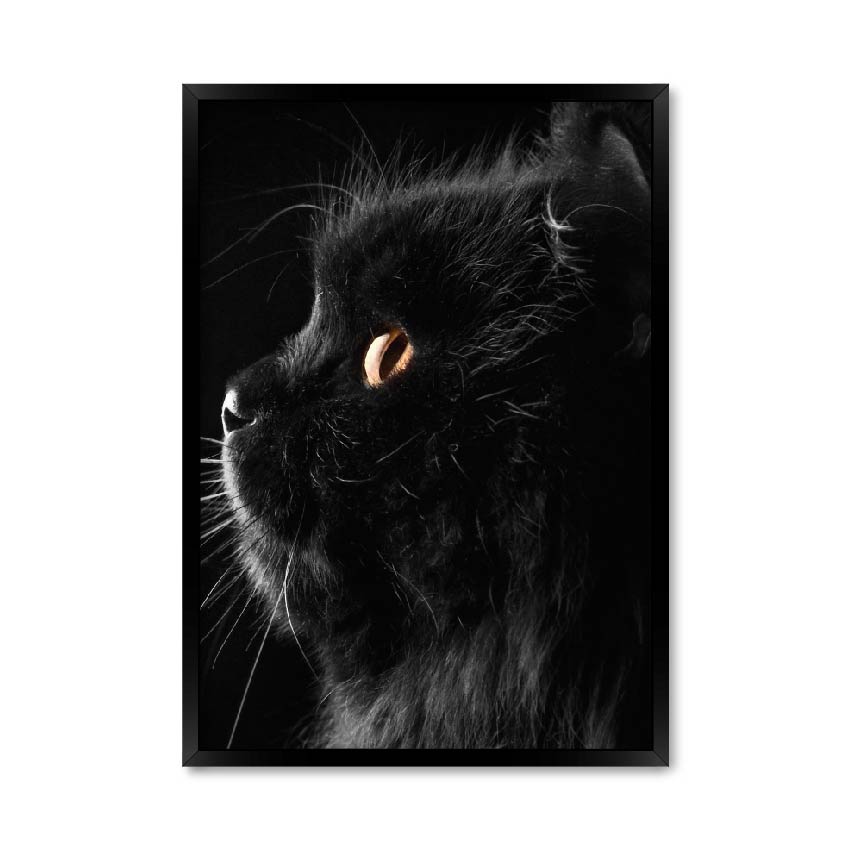 

Постер "Black cat" с антибликовым стеклом 297x420 мм в чёрной рамке