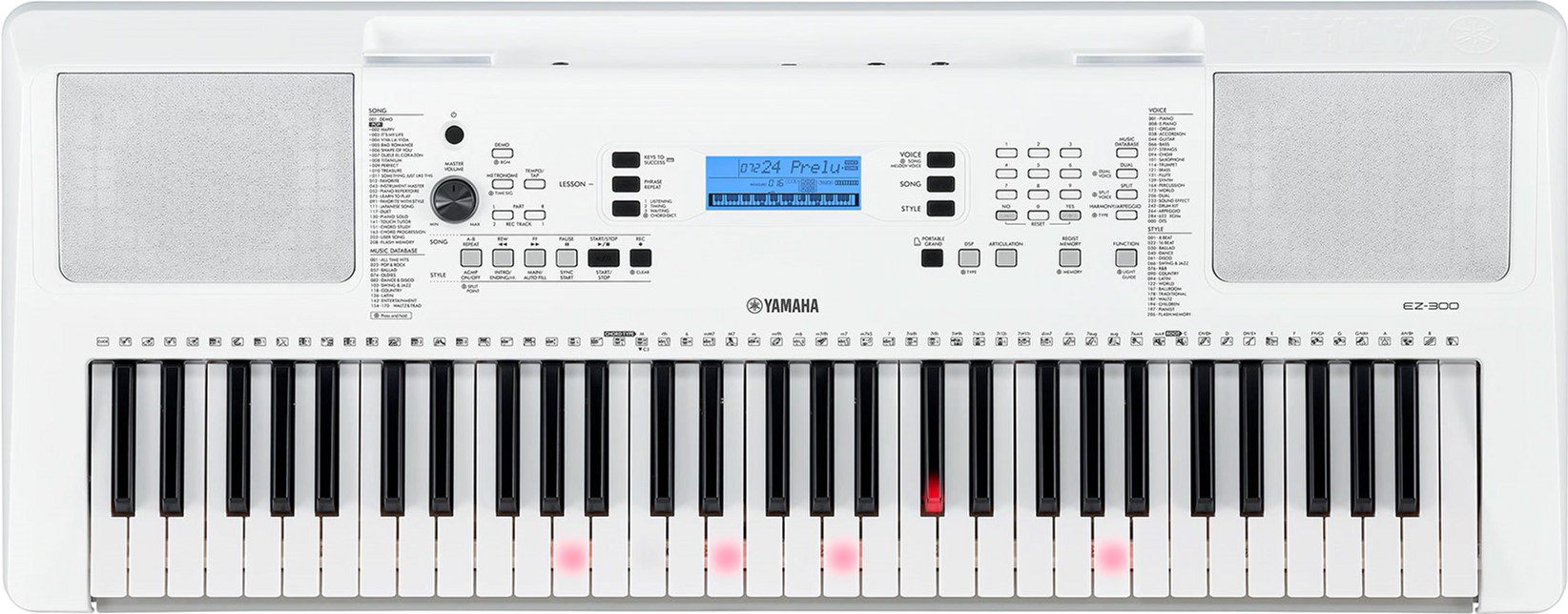 Синтезатор Yamaha EZ-300 – фото, отзывы, характеристики в интернет ...