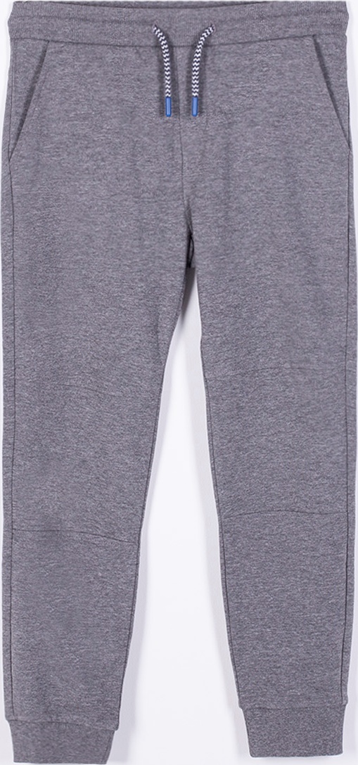 

Спортивные штаны Coccodrillo Tottaly Epic Z20120103TOT-19 134 см (5904705435066)