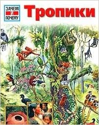 

Тропики