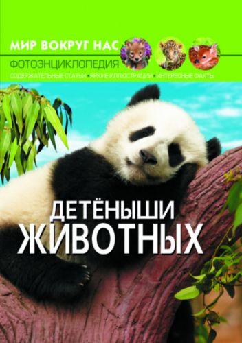 

Книга "Мир вокруг нас. Детеныши животных" F00020859