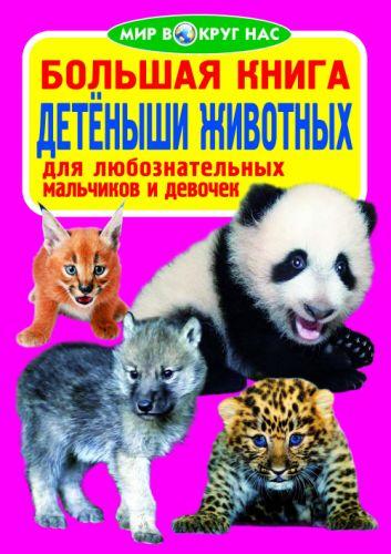 

Книга "Большая книга. Детёныши животных" F00012688