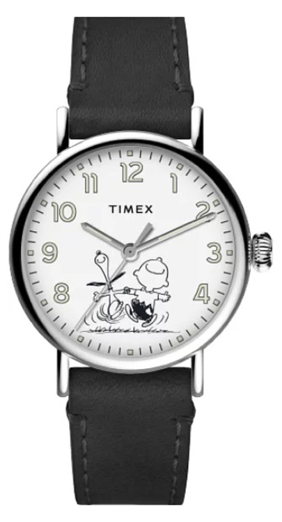

Мужские часы Timex TW2U71100
