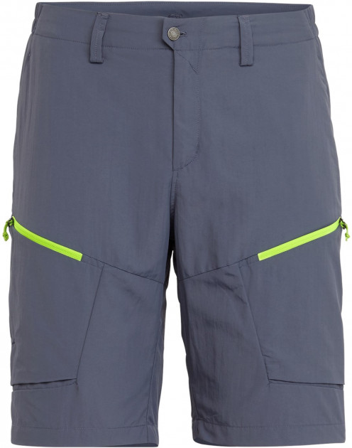 

Шорты Salewa Puez Dry M Shorts 26997 3861 50/L Синие (013.002.7139)