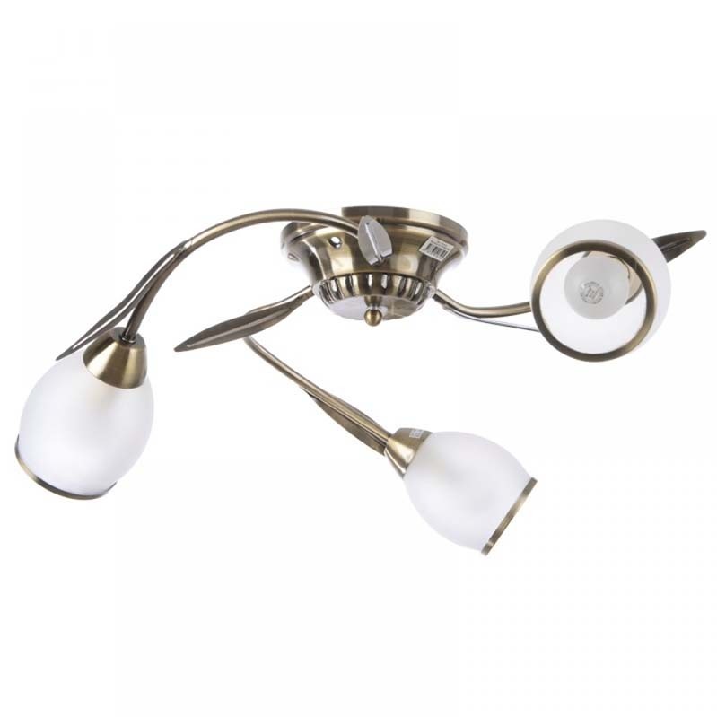 

Brille Lk-157S/3 Ab (187615) 163911